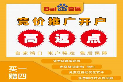 行业领先企业的关键词竞价排名实战案例